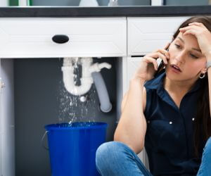 About Emergency plumbing pros Greenwald, MN